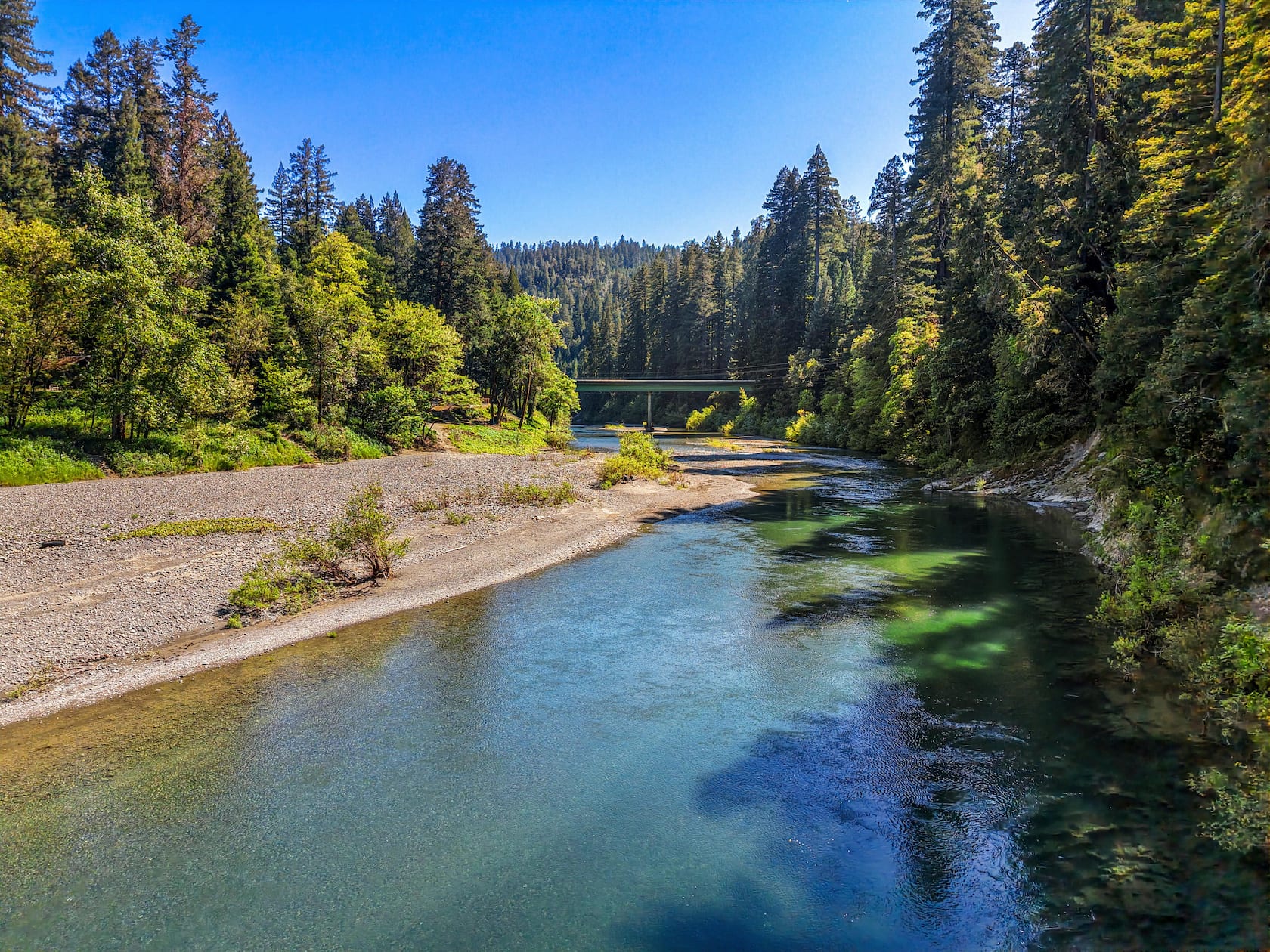 The emerald Eel River, gravel bar and swimming holes framed by redwoods